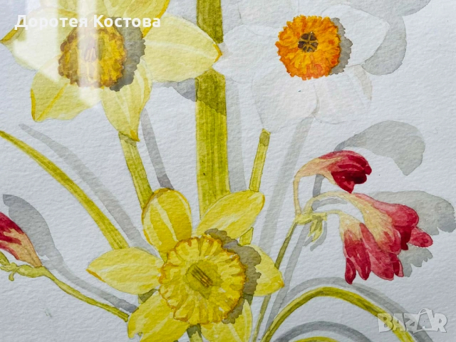 Красиви рисувани нарциси от Англия, снимка 7 - Антикварни и старинни предмети - 53398708