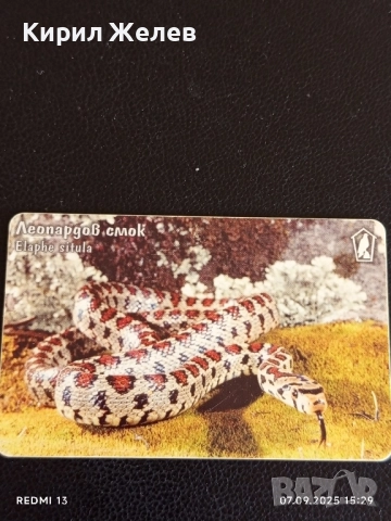 Три фонокарти МОБИКА тема ЗАСТРАШЕНИ ВИДОВЕ,ЧЕРЕН ЛЕШОЯД,ЛЕОПАРДОВ СМОК 12262, снимка 3 - Колекции - 51633304