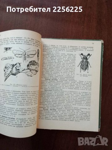 Полска практика по зоология, снимка 8 - Специализирана литература - 50453504
