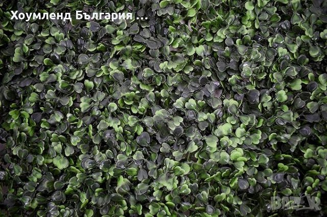 Декоративна трева за стена евкалиптови листа 60х40см, снимка 4 - Други - 43200742