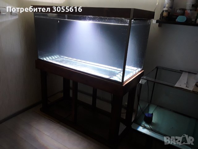 Аквариум, снимка 7 - Аквариуми - 40378833