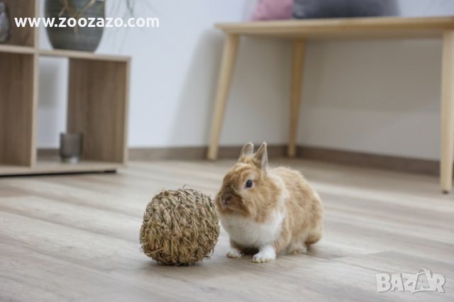 Топка от сено за Гризачи - Модел: 82768, снимка 3 - За гризачи - 38804969