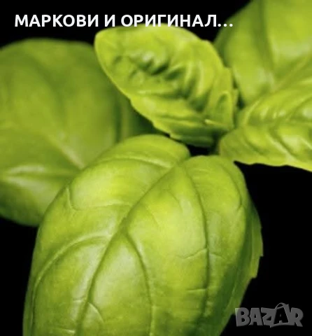 Yodeyma MINT OCEAN 50мл. Мъжки парфюм, снимка 9 - Мъжки парфюми - 51284877