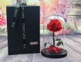 Вечно цвете  Розата "Красавицата и Звяра", снимка 1 - Подаръци за жени - 43820501
