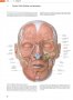 Атлас по анатомия PROMETHEUS от 1 до 3 том, PROMETHEUS Anatomi Atlası, Cilt 1-3, турски език, снимка 6