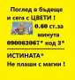 0.60 лв. ТÒЧНАТА ЦВЕТИ - изневери, любовни, семейни проблеми, снимка 2