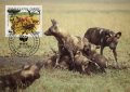 Гвинея 1987 - 4 броя Карти Максимум - WWF, снимка 3