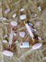 Луксозен подарък - комплект ролер и ГУА ША розов кварц. 8 март, снимка 3