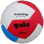 Волейболна топка Gala BV5475S TRAINING 500 g - 12  нова размер 5