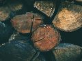 Дървен материал за майстори от ябълка круша дюля череша смокиня бадем слива черница липа орех, снимка 1