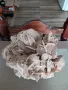 Прекрасна и огромна Пустинна роза от Сахара.Цената е твърда., снимка 3