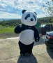 🎉ИЗНЕНАДА с Мече Панда в гр. Бургас!🐼🐾, снимка 7