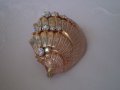 Дамска брошка , снимка 5