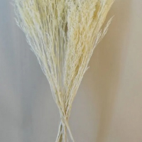 Сухи цветя натурални пампаска трева гипсофил за аранжировка аранжиране декорация бижута сапун , снимка 1 - Изкуствени цветя - 35915673