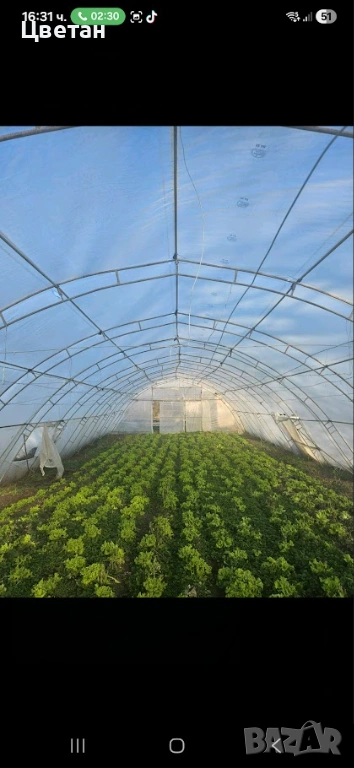 Оранжерии на 3г. + найлон + 1т. бидон, снимка 1