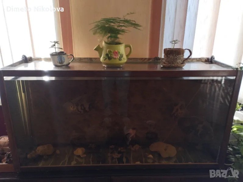 Продавам 350л. аквариум с рибите, снимка 1