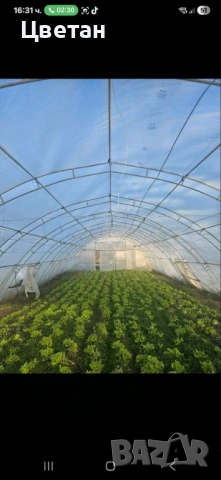 Оранжерии на 3г. + найлон, снимка 2 - Оранжерии - 53009529