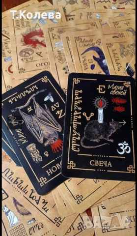Оракул на сенките , снимка 12 - Езотерика - 52236704