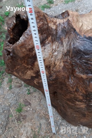 Голям дъбов пън, снимка 8 - Декорация за дома - 37897763