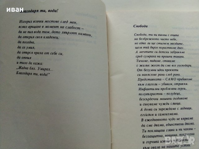 Шехерезиада - Ларра Данкова, снимка 3 - Художествена литература - 28833955