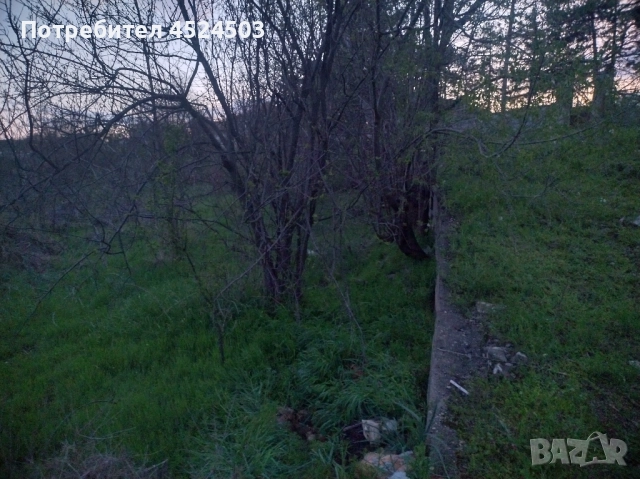 Дворно място село Цани Гинчево, снимка 3 - Парцели - 52354249