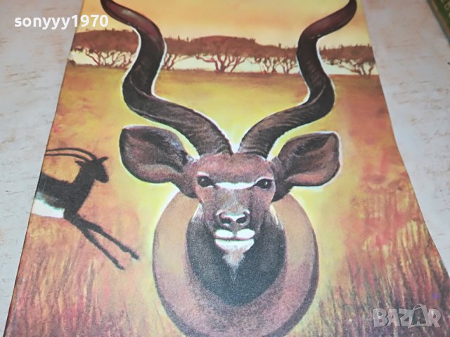 ЪРНЕСТ ХЕМИНГУЕЙ-КНИГА 1902231517, снимка 3 - Други - 39727627