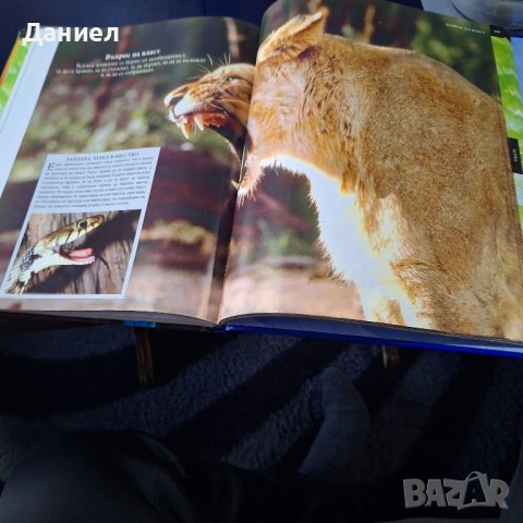 Голяма детска инциклопедия животни, снимка 4 - Други - 44129355