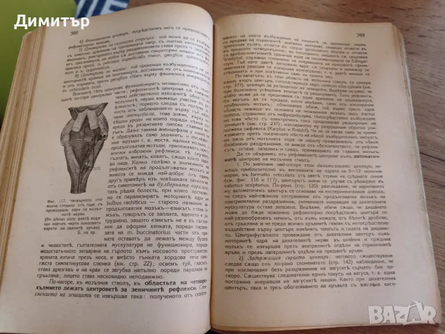 Физиология на човека Рудолф Хобер 1929 г., снимка 4 - Специализирана литература - 47836354