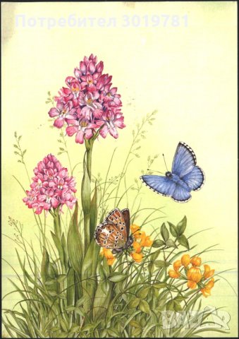 Пощенска картичка Цветя Орхидеи Пеперуди 1994 от Гърнси