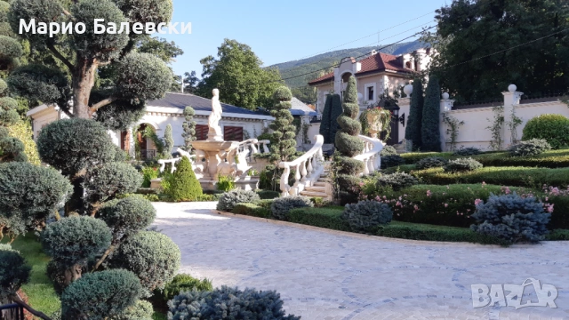 Озеленяване и поддръжка на градини , снимка 2 - Други - 53493481