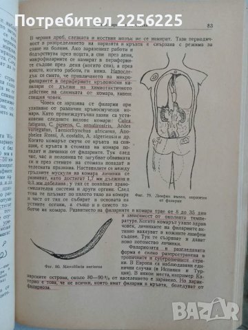 Основи на хигиената, снимка 2 - Специализирана литература - 47490534