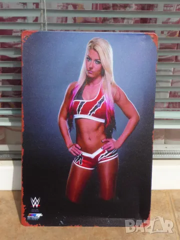 Метална табела Алекса Блис кеч спорт културизъм секси борец WWE Първична сила