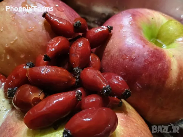 Шипков мармалад диетичен и шипки за чай ,Боров прашец, снимка 2 - Домашни продукти - 49841595