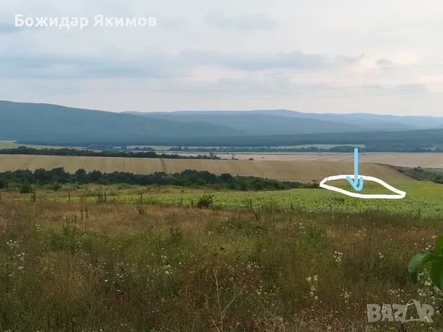 Парцел Бяла, област Варна, снимка 2 - Парцели - 50363074