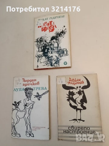 Свирепо настроение - Йордан Радичков, снимка 1