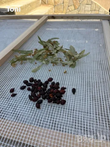 Рамки за сушене на билки,гъби,плодове,и др., снимка 10 - Други - 47399524