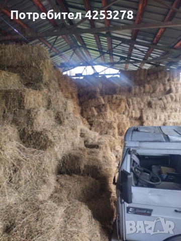 Продавам Бали Люцерна !, снимка 5 - За селскостопански - 52836781