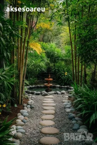 Качествени малки Семена от бамбук Bambusa arundinacea бързо растящи растения за дома бамбуков разсад, снимка 13 - Сортови семена и луковици - 50482087