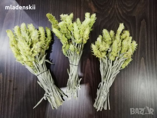 Мурсалски чай