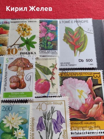 Пощенски марки серия ЦВЕТЯ поща България, Югославия редки за КОЛЕКЦИЯ 22659, снимка 12 - Филателия - 40316538