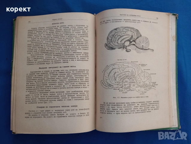 Физиология на селскостопанските животни с основи на анатомията , снимка 4 - Други - 53076336