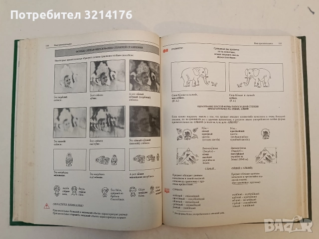 Грамматика русского языка в иллюстрациях - К. И. Пехливанова, М. Н. Лебедева, снимка 4 - Детски книжки - 52575484