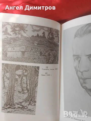Книга за Николай Райнов 1989 г, снимка 5 - Антикварни и старинни предмети - 49972471