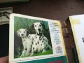 ЕНЦИКЛОПЕДИЯ ЗА КУЧЕТО 0302250911, снимка 8