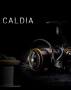 Daiwa Caldia CS LT 2500, снимка 5