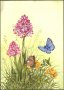 Пощенска картичка Цветя Орхидеи Пеперуди 1994 от Гърнси, снимка 1
