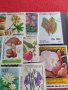 Пощенски марки серия ЦВЕТЯ поща България, Югославия редки за КОЛЕКЦИЯ 22659, снимка 12