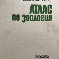 Атлас по зоология Безгръбначни животни - Павел Ангелов, снимка 2 - Енциклопедии, справочници - 28699631