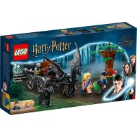 Конструктор LEGO® Harry Potter 76400 - Hogwarts™: каляска и тестрали / 121 части, снимка 1 - Конструктори - 43283728