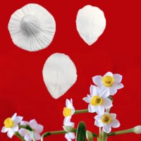 цвете цвят Нарцис силиконов молд вейнър вайнър украса декор фондан, снимка 3 - Форми - 27657313